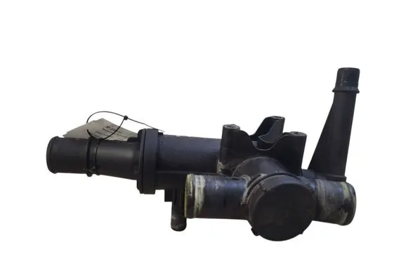 Thermostat/thermostat housing