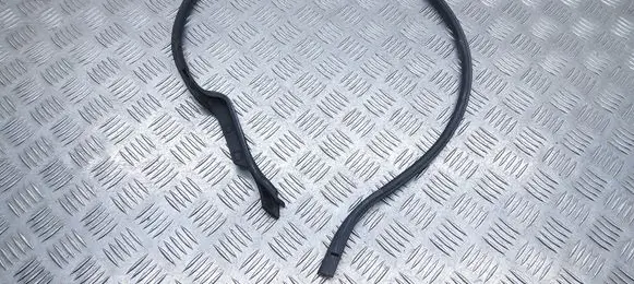 Citroen Jumpy Rubber seal front door (on door) 9812881680