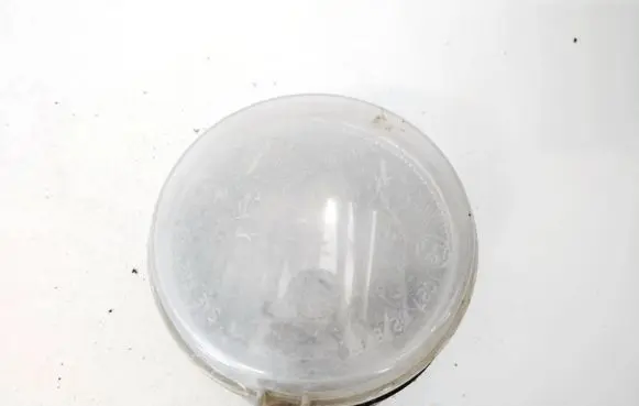 Jeep Compass Front fog light 102702BPL