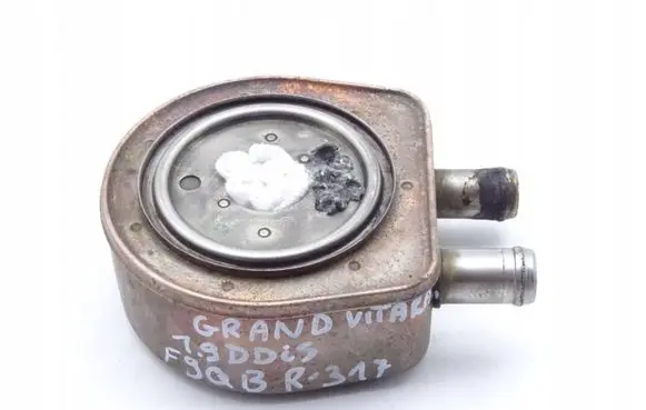 Suzuki Grand Vitara II Engine oil radiator 3.743.011