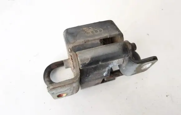Rear door lower hinge