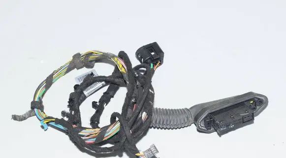 Rear door wiring loom
