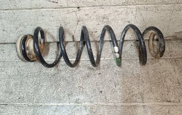 Rear coil spring
