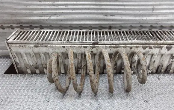 Opel Signum Rear coil spring