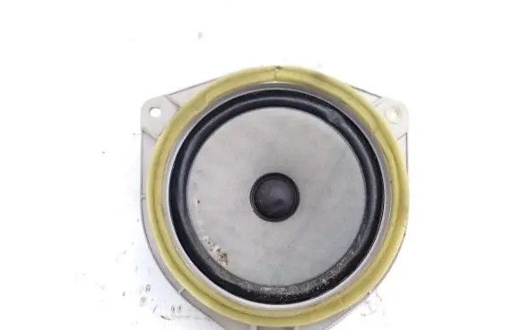 Toyota Hilux (AN10, AN20, AN30) Rear door speaker 861600K010
