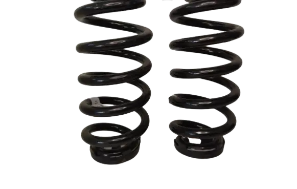 Volkswagen ID.4 Rear coil spring 1EA511103H