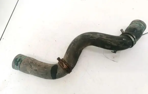 Renault Scenic I Engine coolant pipe/hose