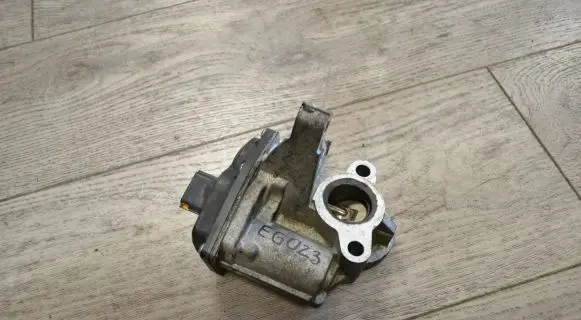 Renault Trafic III (X82) EGR valve H8201068965