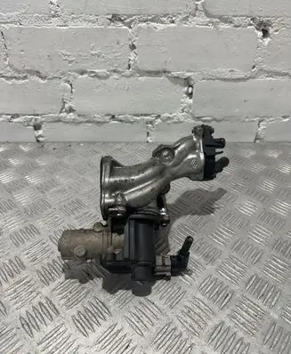 Renault Scenic III - Grand scenic III EGR valve D501916000
