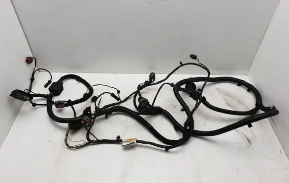 Land Rover Range Rover L322 Wiring harness AH4214369ZC