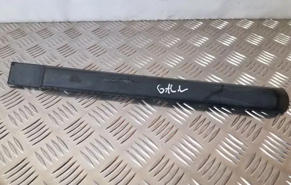 Rear door trim (molding)