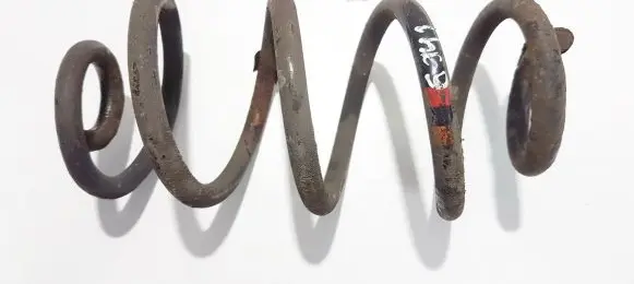 Rear coil spring
