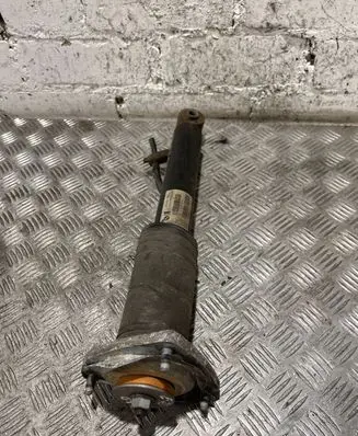BMW X5 E70 Rear shock absorber/damper 6782875