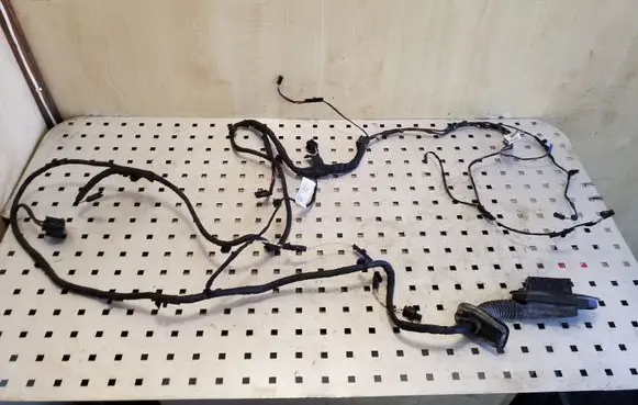 BMW 5 F10 F11 Front door wiring loom 9255986