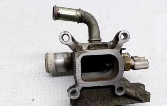 Thermostat/thermostat housing