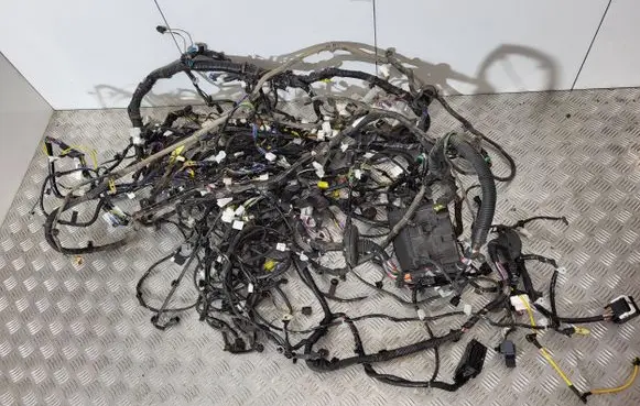 Fiat Fullback Other wiring loom