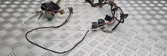 Audi A4 S4 B5 8D Front door wiring loom 8D0971663AM 8D1971733AE 8D1972235E