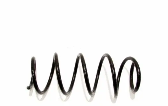 Skoda Fabia Mk1 (6Y) Front coil spring