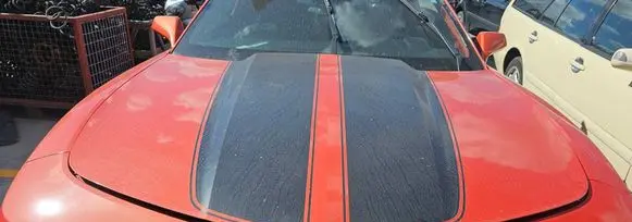 Engine bonnet/hood