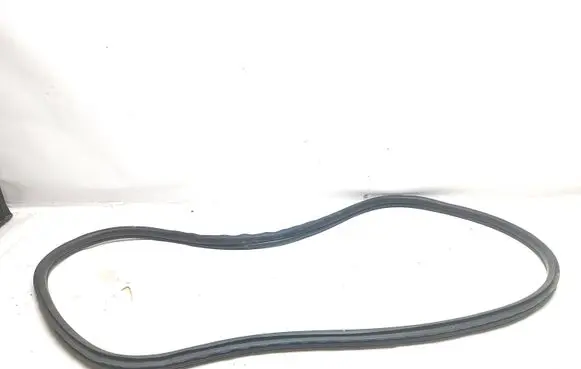Mini Cooper Countryman F60 Rear door rubber seal (on body) 7390112