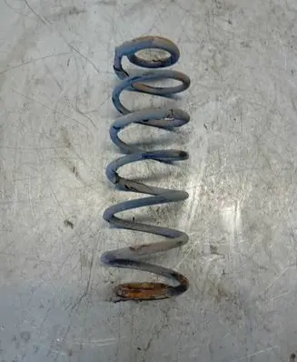Rear coil spring
