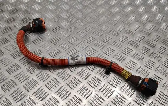 Renault Zoe Other wiring loom 240419193R