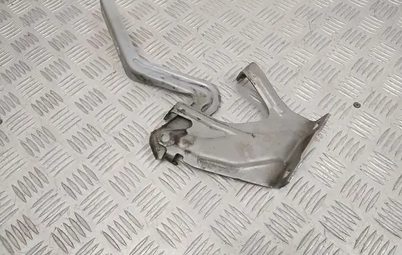 Nissan Leaf II (ZE1) Engine bonnet/hood hinges 