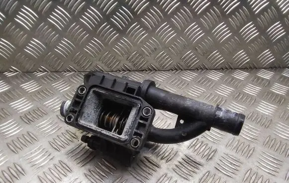 Thermostat/thermostat housing
