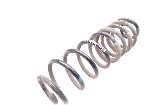 Rear coil spring