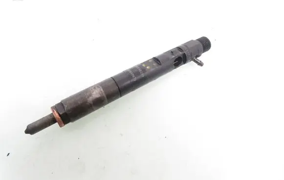 Renault Kangoo I Fuel injector 8200049876 8200240244 EJBR02101Z