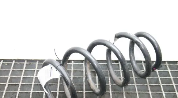 Tesla Model 3 Rear coil spring 104447204A