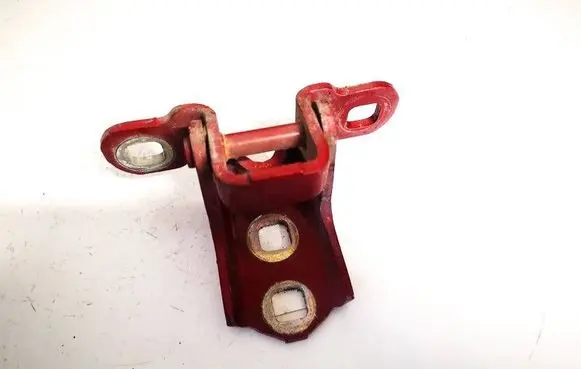 Rear door lower hinge