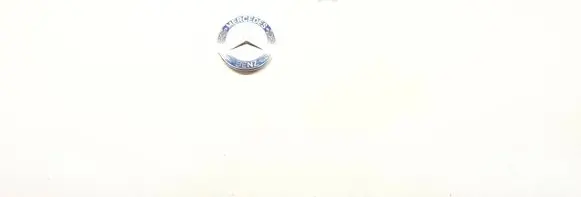 Mercedes-Benz A W169 Manufacturer badge logo/emblem 1298880116