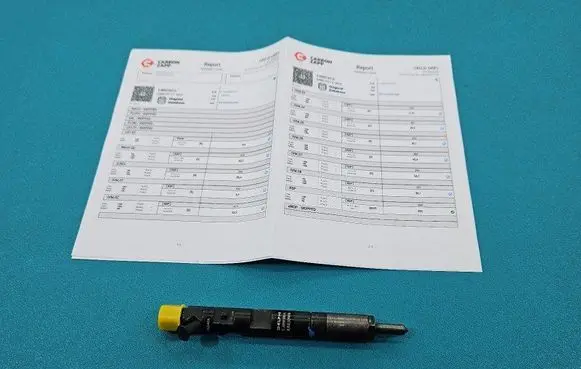 Renault Megane II Fuel injector EJBR01801A IMPRK1439433