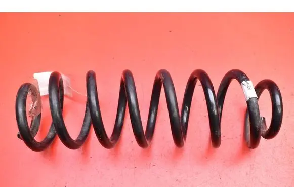Rear coil spring