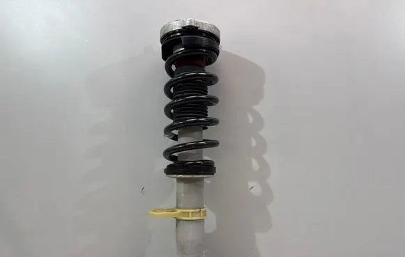 BMW M8 F93 Gran Coupe Front shock absorber with coil spring 7856899