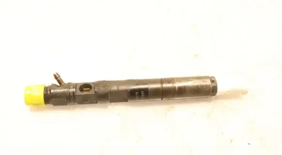 Renault Clio III Fuel injector