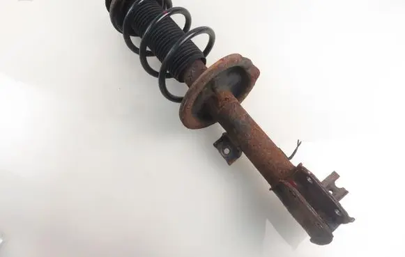 Suzuki SX4 Front shock absorber with coil spring 