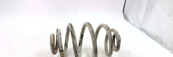 Volkswagen PASSAT B5.5 Rear coil spring