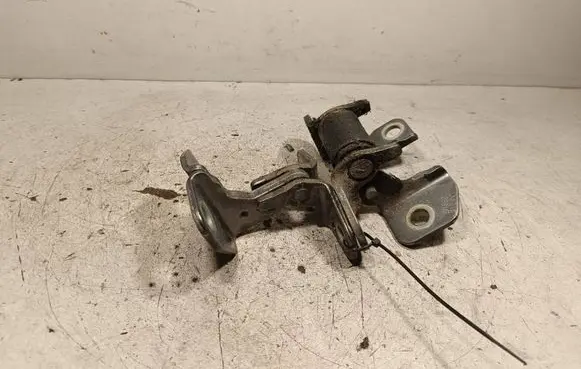 Lancia Thema Rear door hinge set 