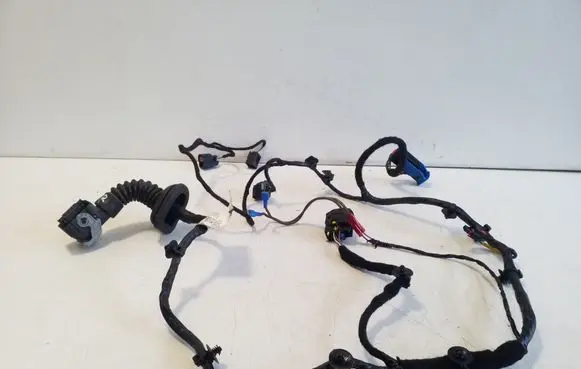 Maserati Ghibli Front door wiring loom 06700086030