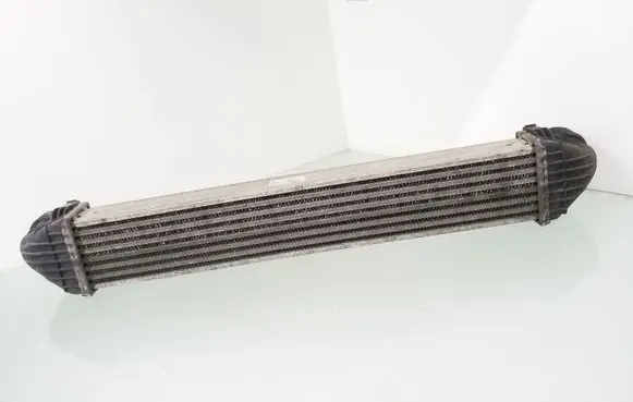 Mercedes-Benz A W169 Intercooler radiator A1695000000 B0278