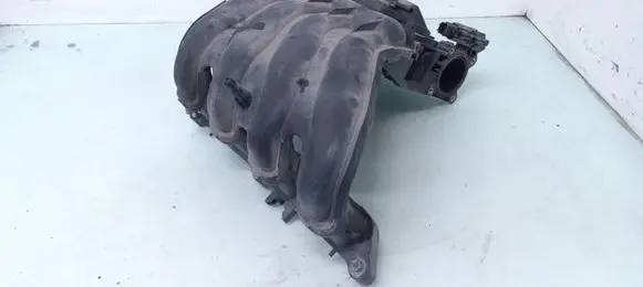 Nissan Juke I F15 Intake manifold 1KT0A