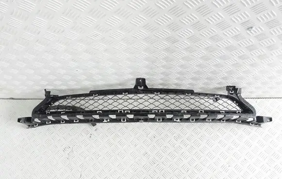 Mercedes-Benz AMG GT R190 C190 Front bumper lower grill A1908850254