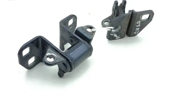 Tesla Model S Rear door hinge set 