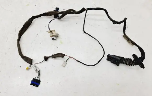 Renault Scenic II - Grand scenic II Rear door wiring loom 8200235837