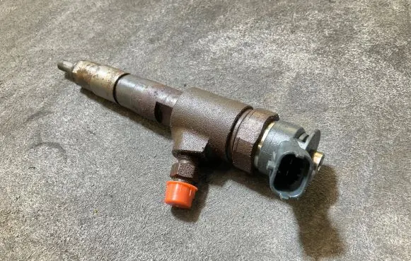 Peugeot Partner III Fuel injector 0445110566
