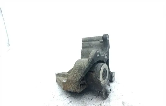 Iveco Daily 4th gen Generator/alternator belt tensioner 504136566