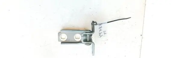 Rear door lower hinge
