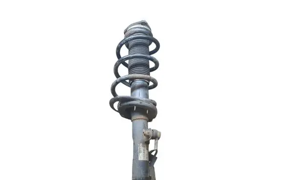 Ford Transit Custom Front shock absorber with coil spring FK2118045AA